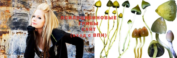 PSILOCYBIN Заволжье