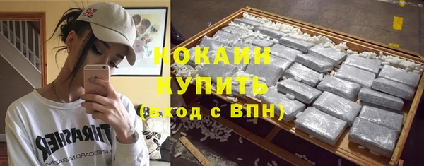 PSILOCYBIN Заволжье