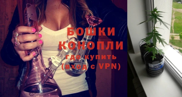 PSILOCYBIN Заволжье