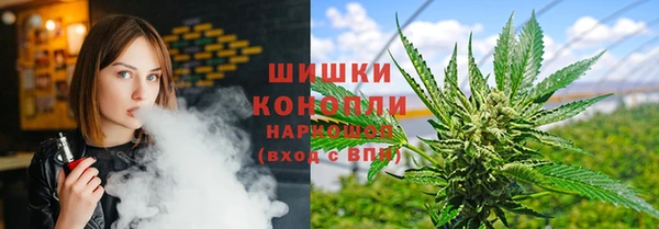 PSILOCYBIN Заволжье