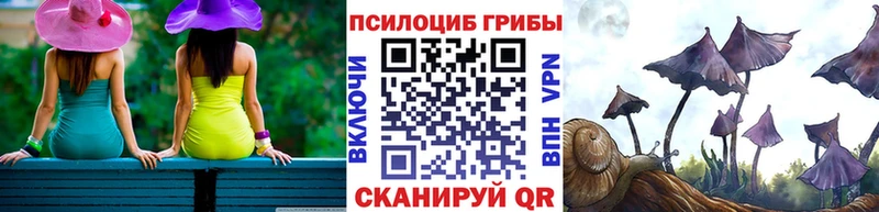 Псилоцибиновые грибы прущие грибы  Купить закладки  Мичуринск 